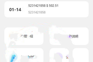 （精品）海外tiktok多语言抢单刷单系统/前端uniapp/刷单打针